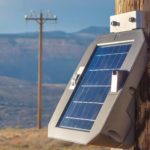 PRG Newsletter – December 2025